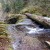 A log shooting out toward the edge of the fall. A log shooting out toward the edge of the fall.