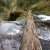 A walkable log bridge to get us to the waterfall's edge. A walkable log bridge to get us to the waterfall's edge.