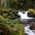 The river above Triple Falls. The river above Triple Falls.