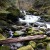 Another view of the river above Triple Falls. Another view of the river above Triple Falls.