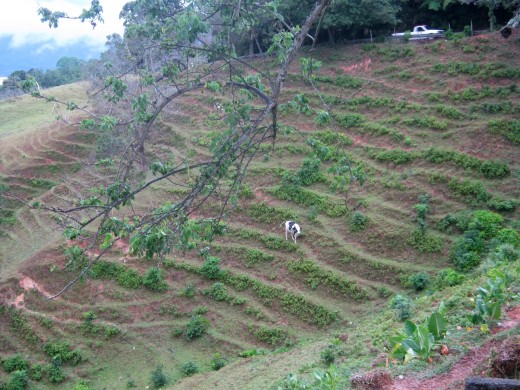 Utuado, Puerto Rico
