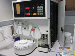 Atomic Emission and Absorption Spectroscopy and Flame Photometry: The Test for Sodium and Potassium 