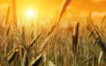 Hope is a Component of Fear