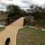 Bridge from Avery Ranch - Champion Park - Cedar Park TX