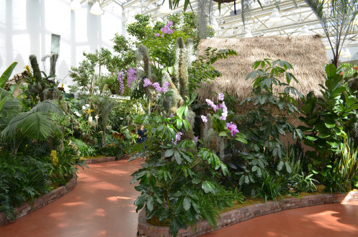 One of the huts in the orchid show display.  It is a joy to look at all the orchids.