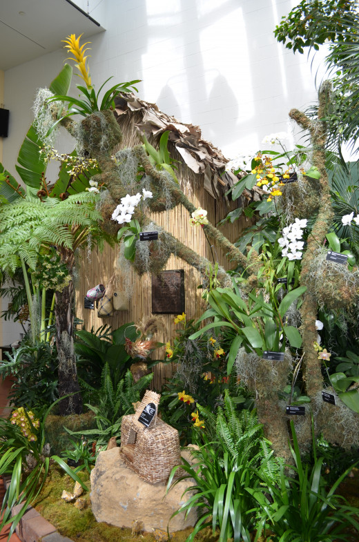 Madagascar Orchid Show display.
