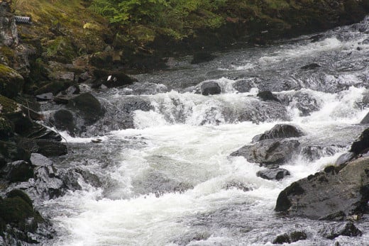 Salmon climb the Ketchikan River to spawn and anglers can catch them along the way