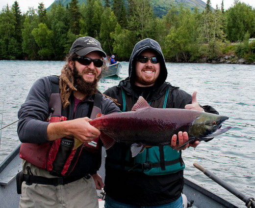 Drift fishing in Alaska Catching a Sockeye Salmon