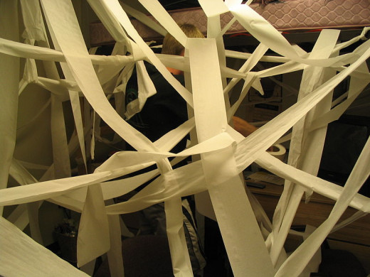 This poor guy came home from work to find that his friends had redecorated his house with toilet paper.