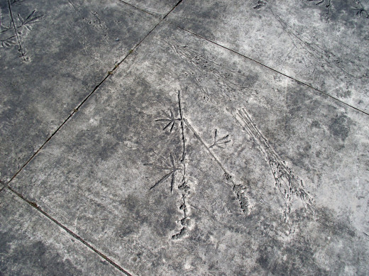 Even more engravings