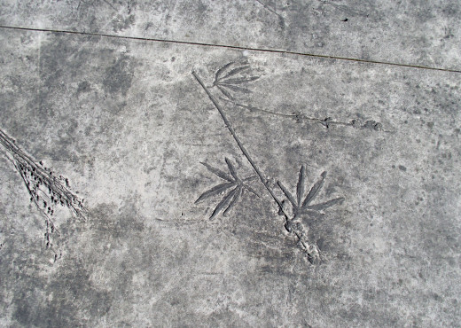 More engravings