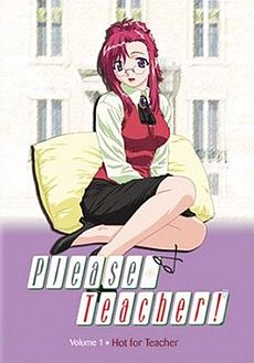 US DVD cover to the first volume of "Please Teacher"