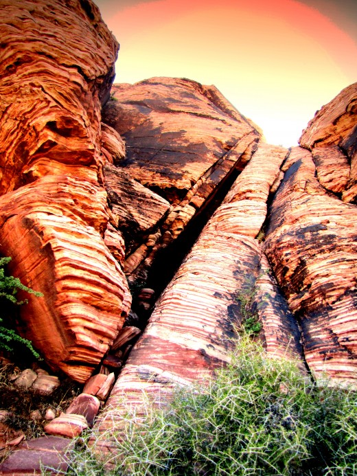 Calico Basin, Red Rock Canyon. About 30 minutes from Las Vegas Blvd.