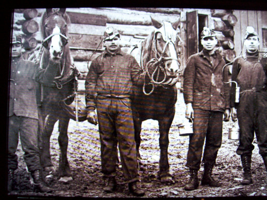 Big Charlie, a mine horse, is trapped underground for a month before being found by miners.