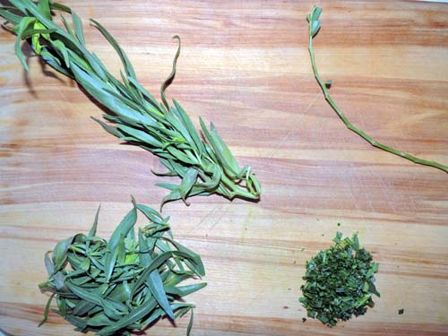 Tarragon-left to right, top to bottom--prep