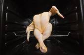 A genetically modified dancing chicken about to be cooked in your oven