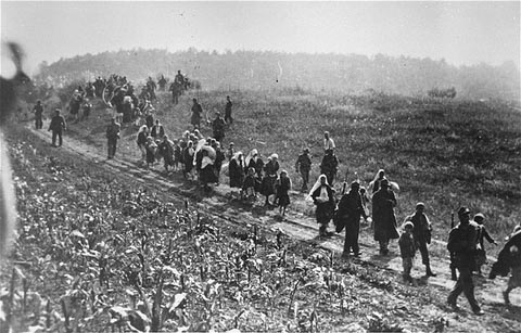 From the Sabac Internment Camp, September 1941.  German soldiers alongside Ustasa collaborators, lead a column of Serbs to the Sabac internment camp during anti-partisan "cleansing" operations.  From the Macva region.