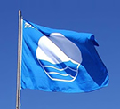 Blue Flag