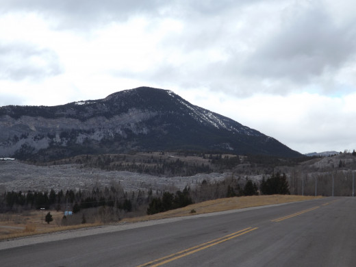 Panoramic View 5