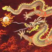 Dragonmaster14 profile image