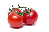plum tomatoes