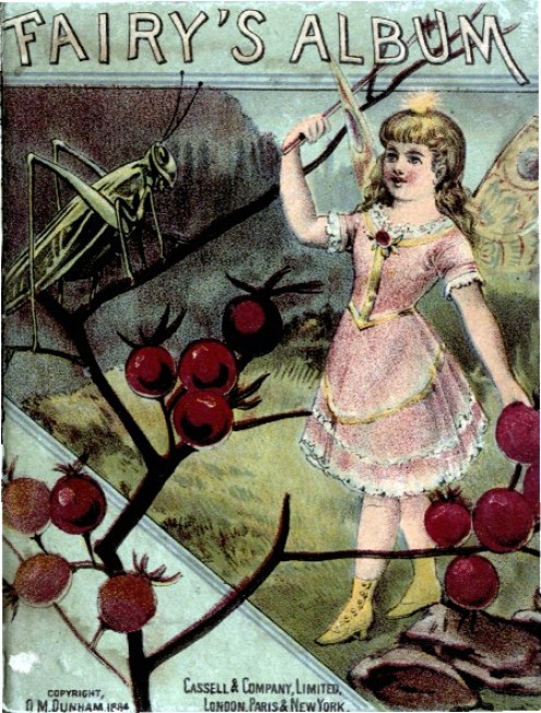 How to Find a Fairy in Your House How to Find a Fairy in Your House