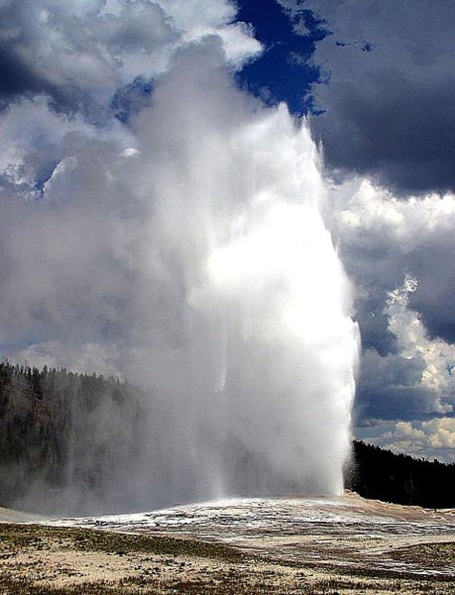 Some archaea can live in extremely hot geysers