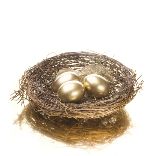 Retirement Account Nationalization 