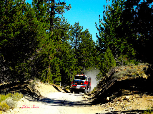 Fire and Forestry vehicles pounded down the narrow canyon road.