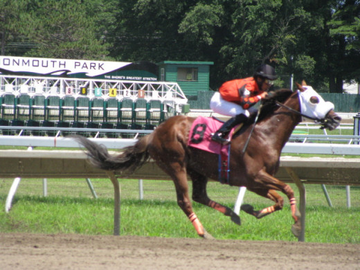 #8 Horse Going For The Win at Monmouth Park in New Jersey.