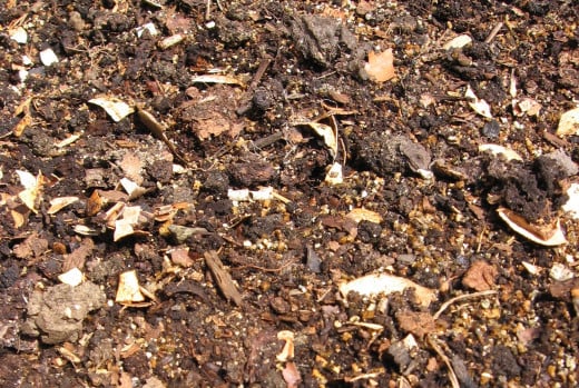Garden soil enriched with compost and vermiculite