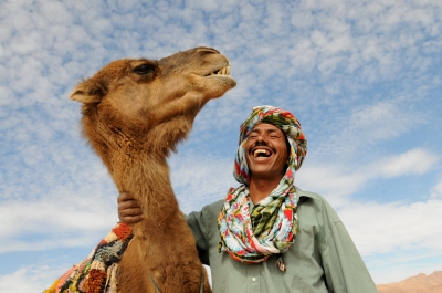 Camels make their way through the Denakil desert in Ethiopia, carrying satchels of salt. This trek back takes around 2 weeks.