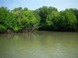 http://s2.hubimg.com/u/7884297_f248.jpg