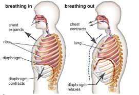 Breathing Exercises can help you calm down.