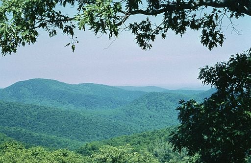 A typical overlook in the Shenandoah National Park.