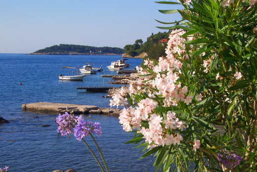 Sitting at this beach in Vis, Croatia, may be idyllic, but will you tell the story for the rest of your life?