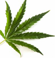 Are you ready to quit smoking marijuana for good?