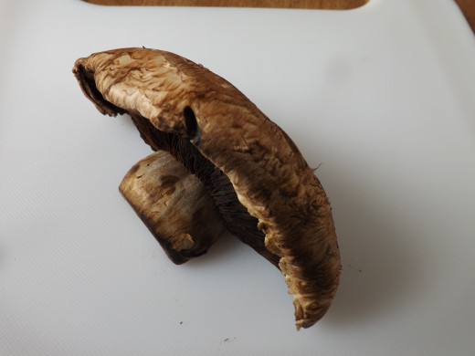 Portobello Mushroom