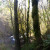 Looking at the Bridal Veil Falls scenery. Looking at the Bridal Veil Falls scenery.