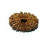 19 Mukhi Rudraksha