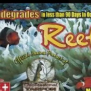 tropicalseas profile image