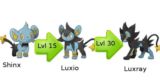 Shinx Evolution Chart