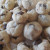 Chocolate Chip Cookies Chocolate Chip Cookies