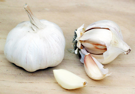 Garlic bulb showing the individual cloves inside.