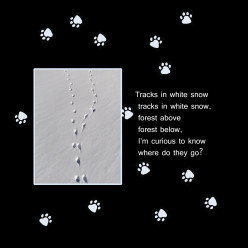 Tracks In White Snow, Where Do They Go?
