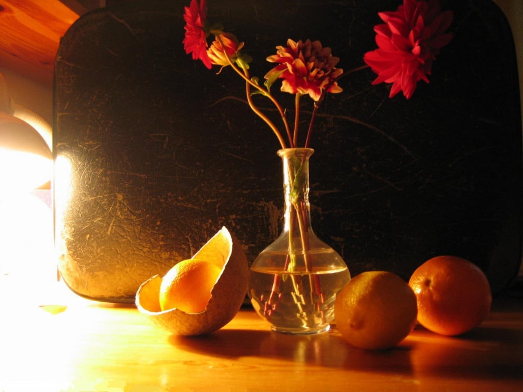 Still Life Photography Tips Hubpages 9881