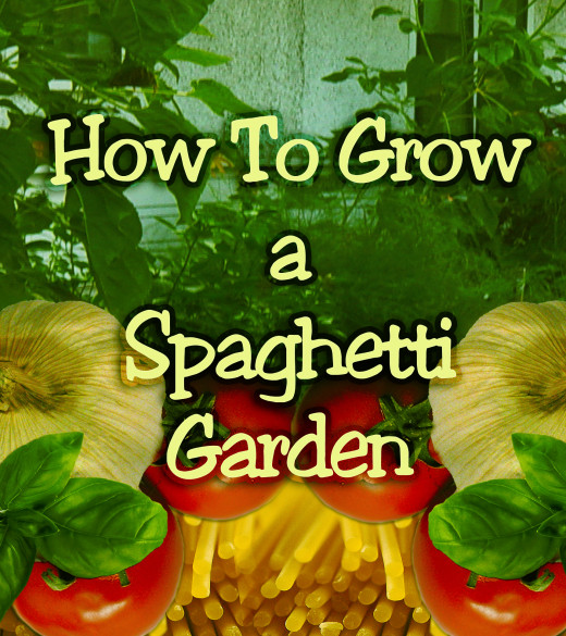 Grow a Spaghetti Garden Easy, Useful and Fun HubPages