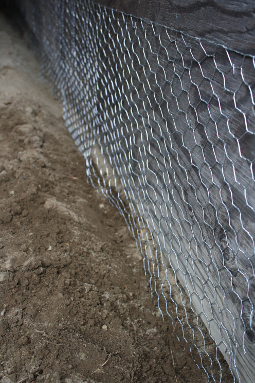 Staple the Fence