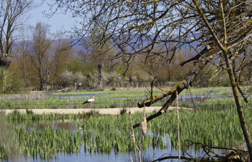 Salburua Park