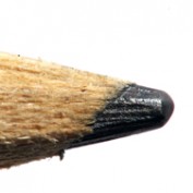 The Drawing Gal profile image